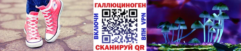 ссылка на мегу маркетплейс  Яровое  Псилоцибиновые грибы мицелий 