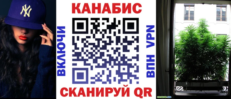 хочу наркоту  Яровое  Бошки марихуана план 